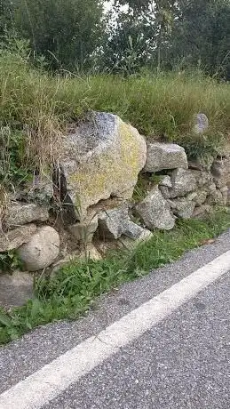 BAK