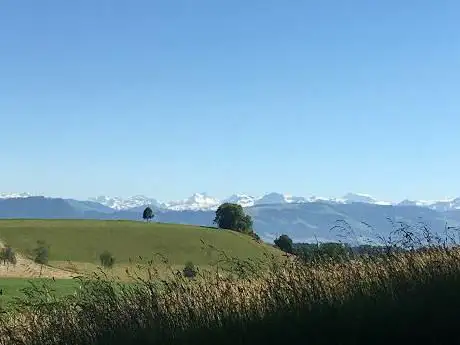 Ottiker Büel