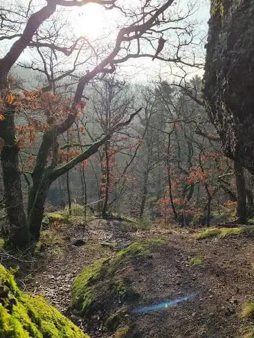 Aussichtspunkt Falkensteiner fels