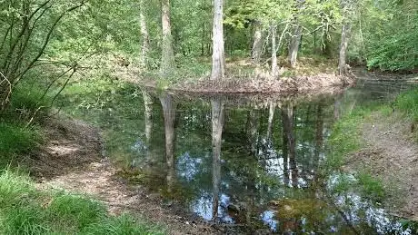 Mare aux Cerfs