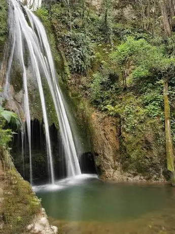 Photo de Biotopo dell'acqua caduta