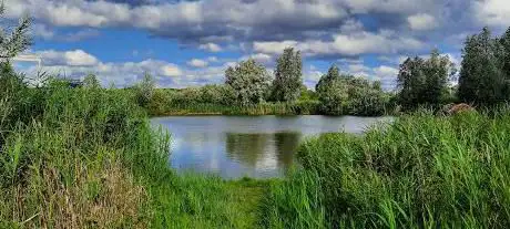 Natuurreservaat Het Kortbroek