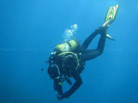 Photo de Revolution Dive - Valencia