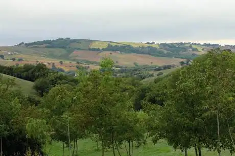 Photo de Le Cune di Moie