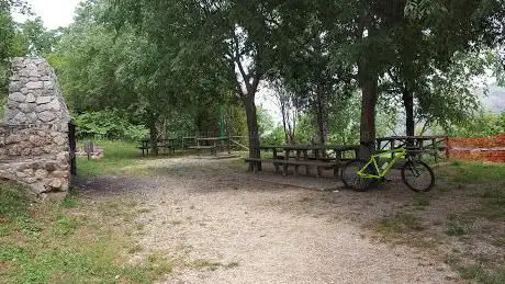 Area Picnic 