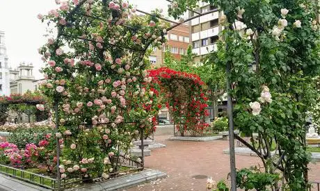 Photo de Mercado San Blas / Plaza de Abastos