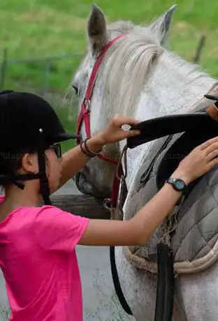 Photo de The Equestrian Center Municipal Gailleste