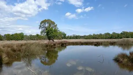 Photo de Osservatorio Faunistico - Percorso Naturalistico Sabrina Bulleri