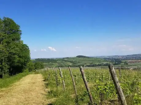 Photo de Sentier des Casemates