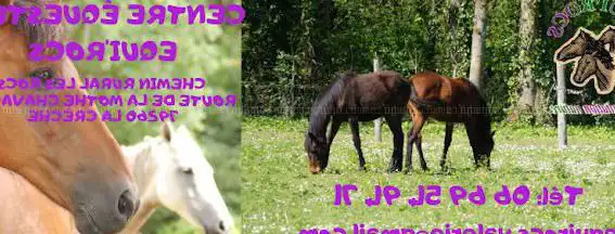 Photo de Equestrian Center Equi'rocs