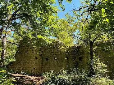 Burgruine Schalberg