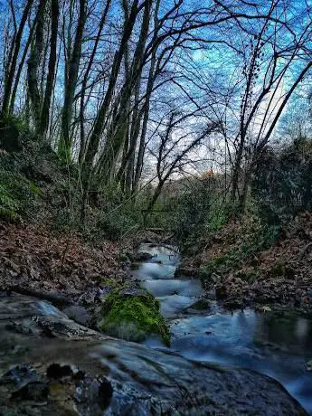 Photo de Monumento naturale La Selva