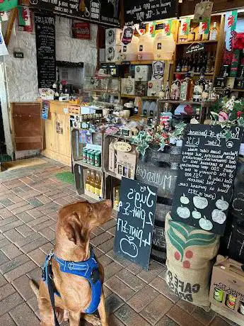 Shed Head Cider Mill Shop Gower