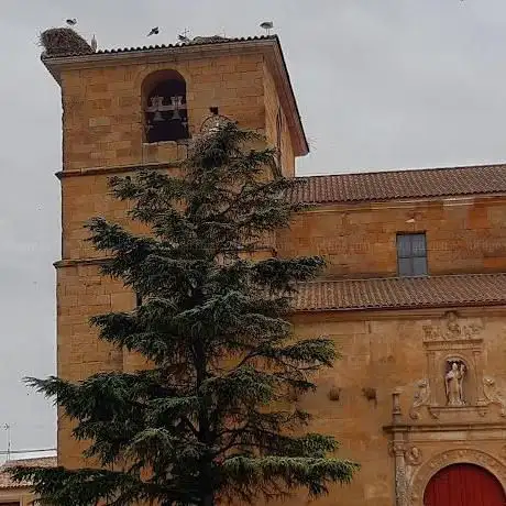 Photo de Iglesia Parroquial de San Benito