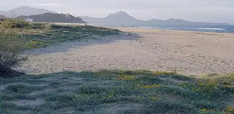 Photo de Foxi de sa Culatzighedda