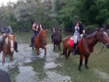 Manège de Bulle Gavillet Valentin
