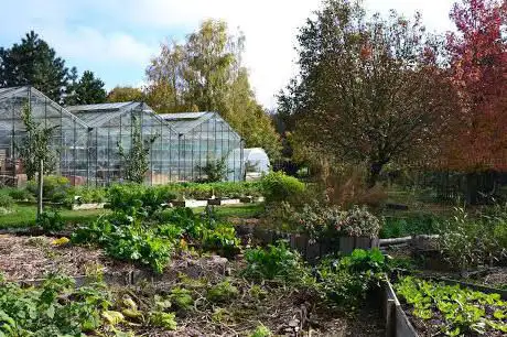 LuneSoleil Garden
