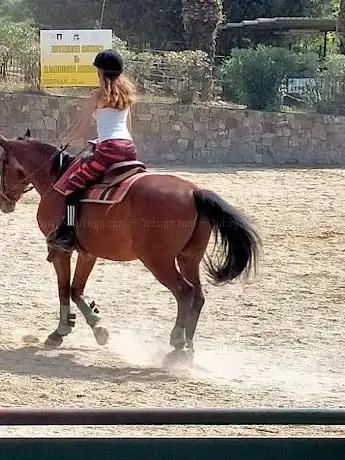 Photo de Centro Sportivo Il Ranch