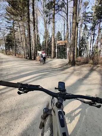 HÃ¶ckler Trail by Züritrails