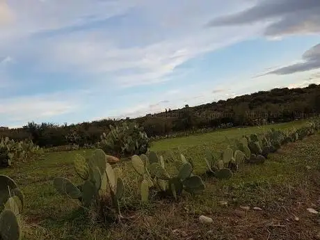 Photo de discesa che sale