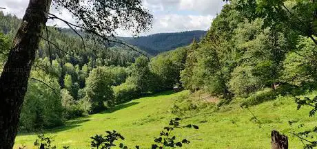 Mittleres Rurtal mit den Felsbildungen der Perdsley und Wiselsley