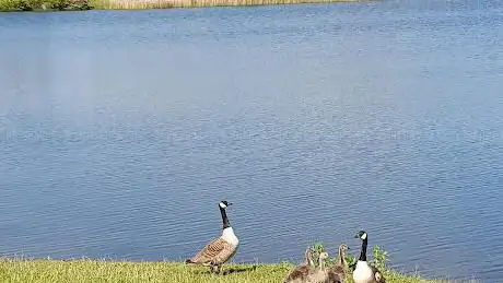 Photo de Calder Park Wetlands Nature Reserve