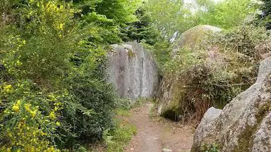 Photo de Camp gallo-romain