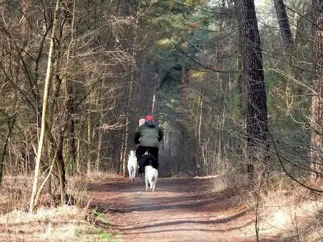 Photo de Putse Duinen