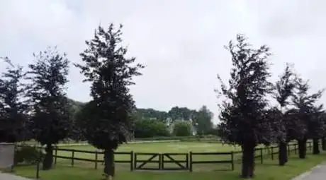 RGA SPORTHORSES