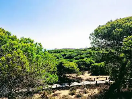 Dunar - Ruta 1 - Doñana Park