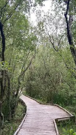 Photo de Parc du rohart zone protégée.