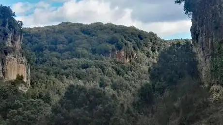 Funtana de Pedassu