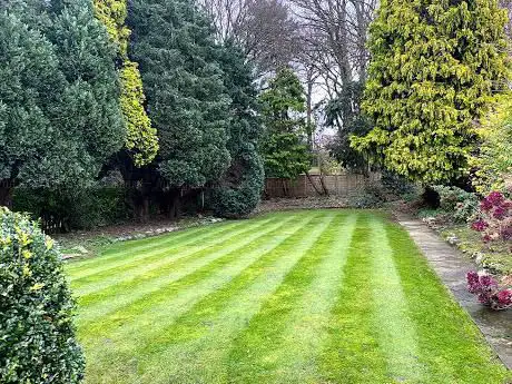 Gleghorns Garden World