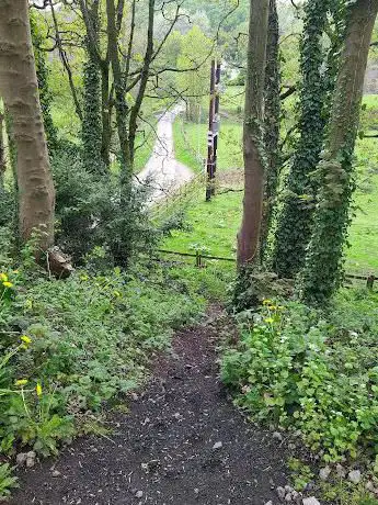 Cheadle Branch Walkway - access point 5 (steep)