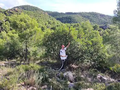 Photo de Cova de l'Aigua Amarga