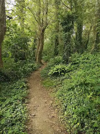 Photo de Teddy Bear Woods