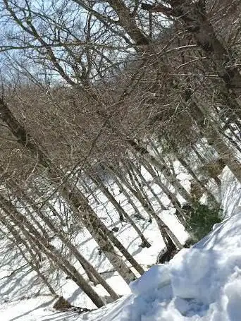 Photo de Source de l'Hérault