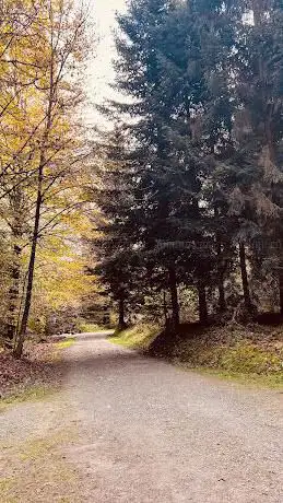 Wildreservat Riedholz