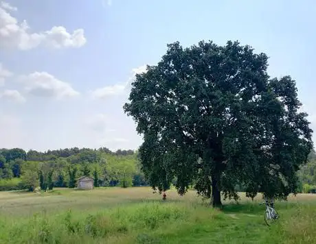 Caronno Corbellaro