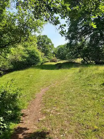 Nelson Meadow