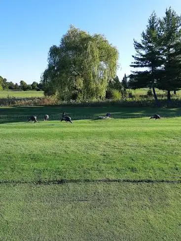 Pine View Golf Course