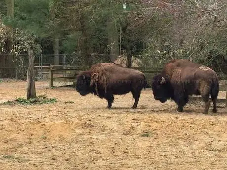 Photo de Salisbury Zoological Park