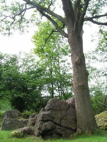 Photo de Menhir de Deigné