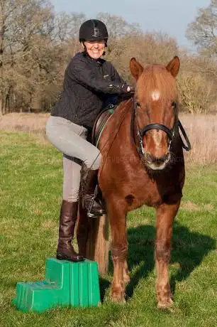Photo de Classical Equitation Freelance Riding Instructor Hampshire Berkshire