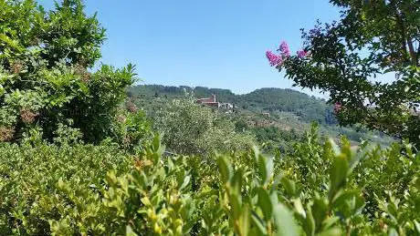 Photo de Chiesa di Santa Margherita