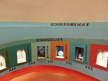 Museo Paleontologico Silvio Lai