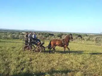 Photo de Equitour Albera Costa Brava