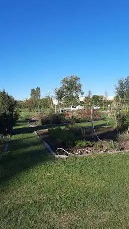 Photo de Parco delle Acque Chiare