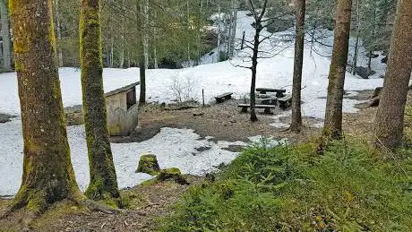Feuerstelle SchÃ¶nauwald