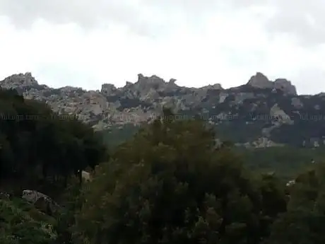 Arcu Curadori